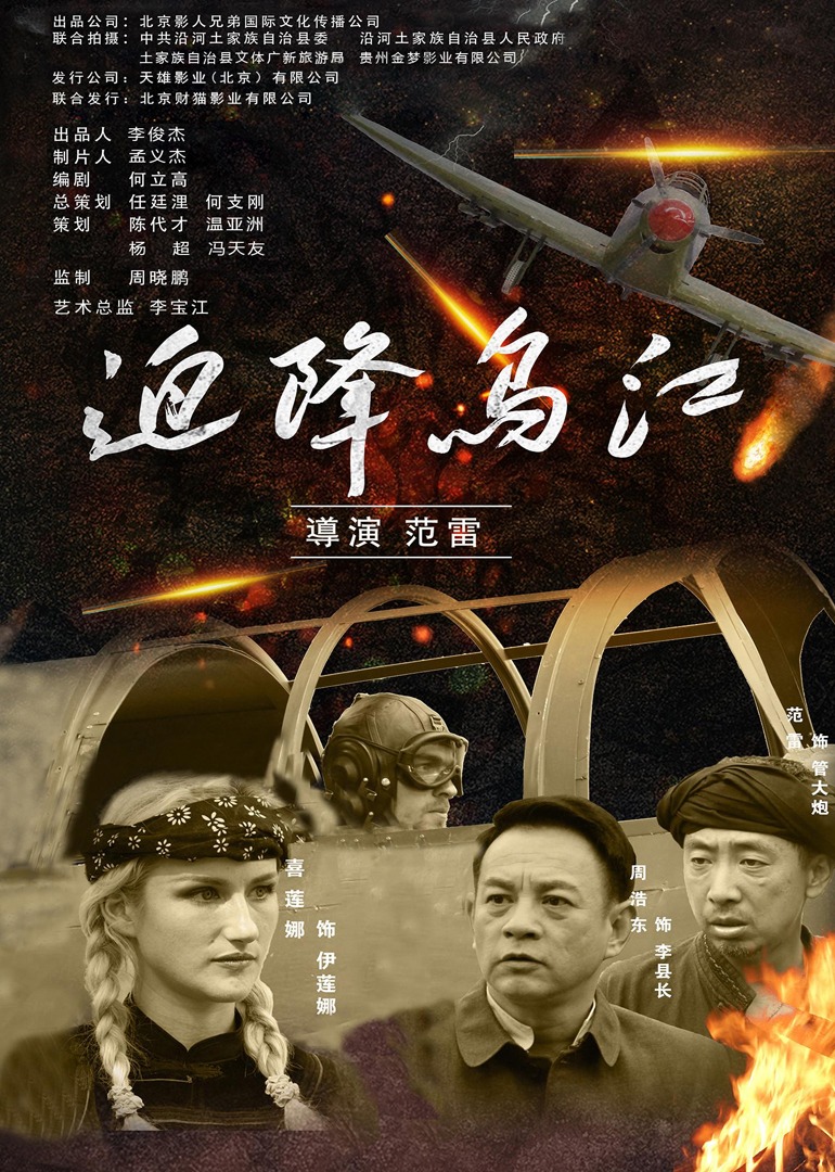 迫降乌江封面图