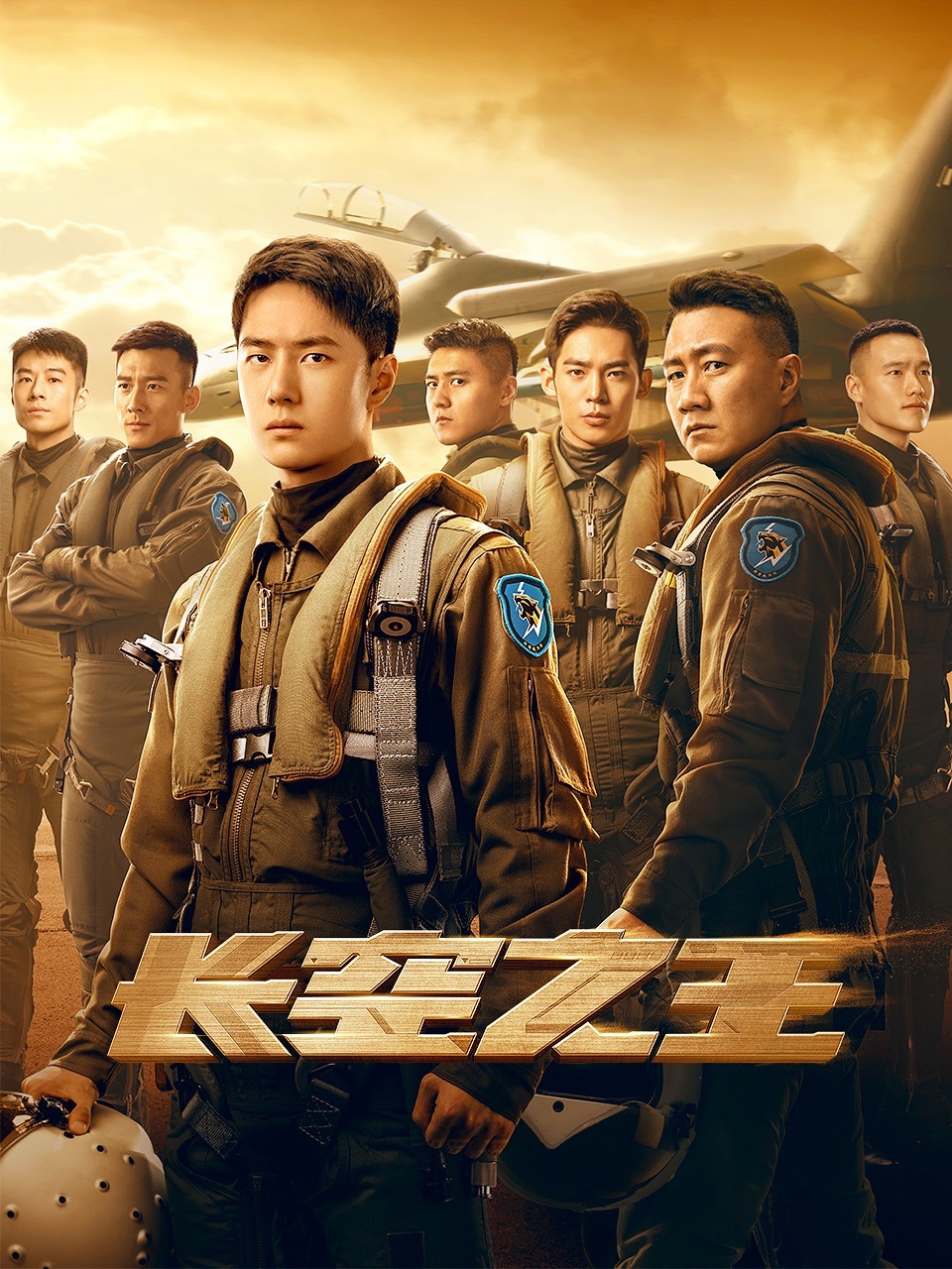 长空之王封面图