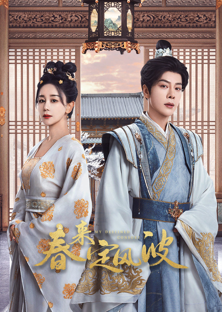 春来定风波封面图