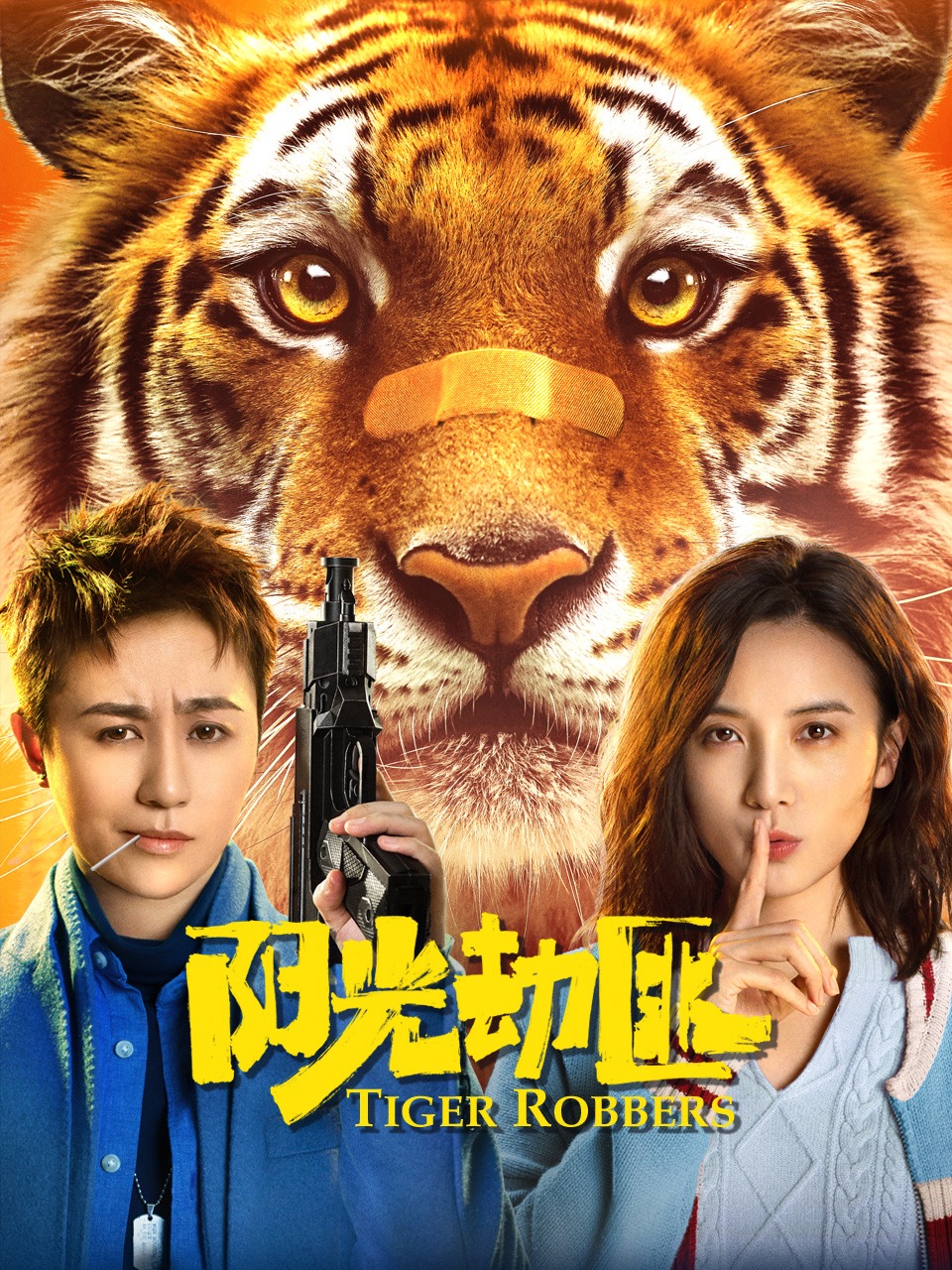 阳光劫匪封面图