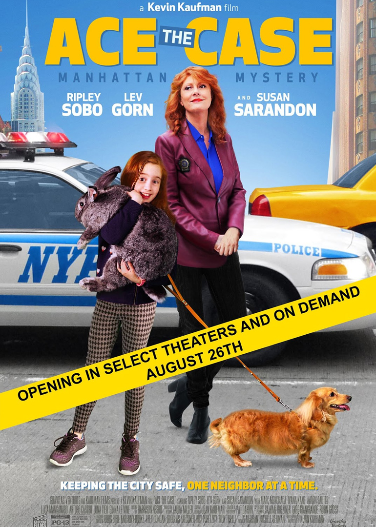 王牌案件封面图