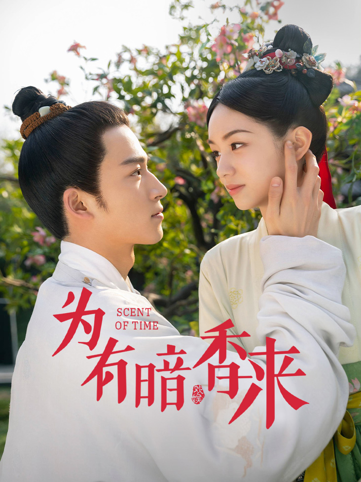 为有暗香来封面图