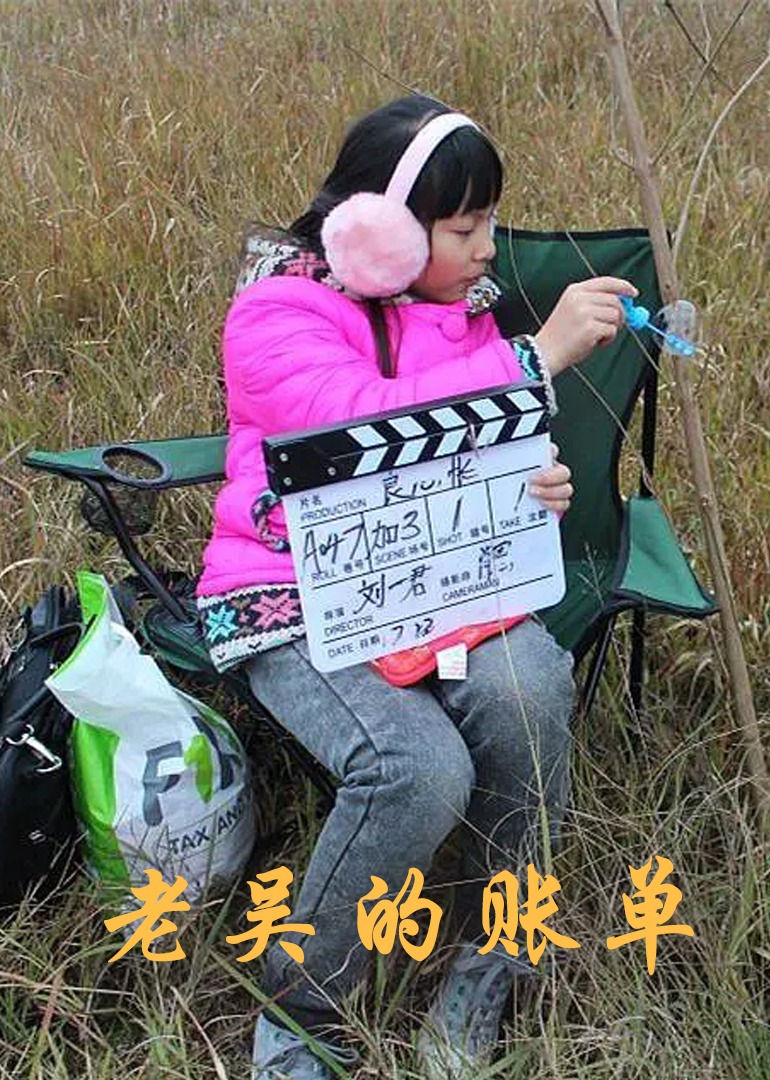 老吴的账单封面图