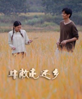 牛敞亮还乡封面图