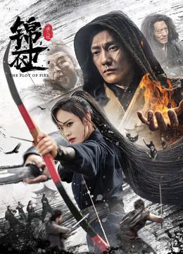 锦衣卫之炼火记封面图