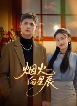 烟火向星辰封面图
