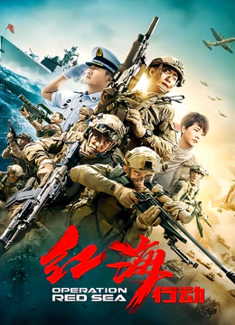 红海行动