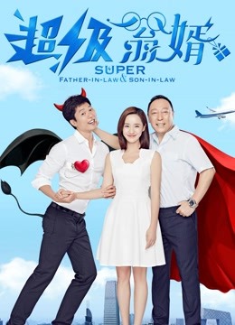 超级翁婿封面图