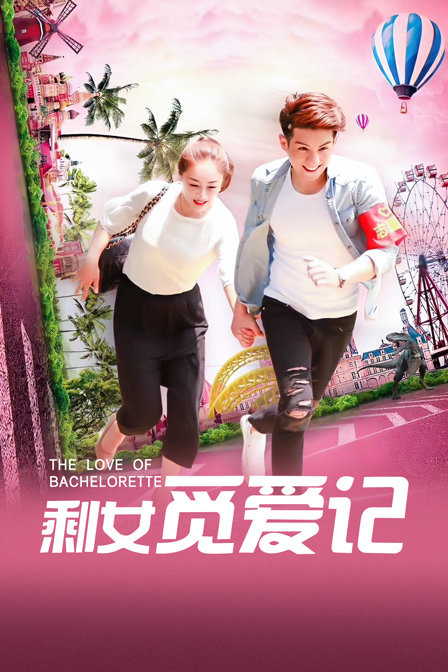 剩女觅爱记封面图