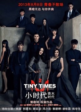 小时代2：青木时代封面图
