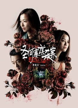 圣何塞谋杀案封面图