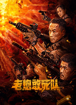 老炮敢死队封面图