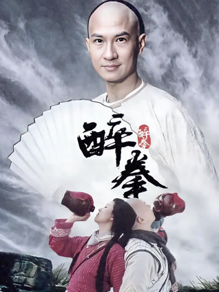 醉拳封面图