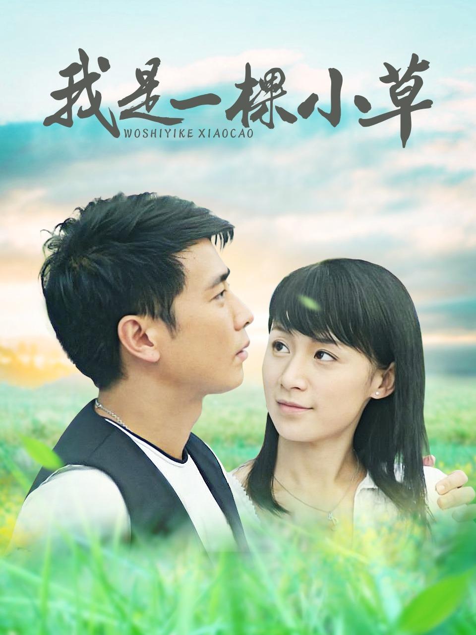 我是一棵小草封面图