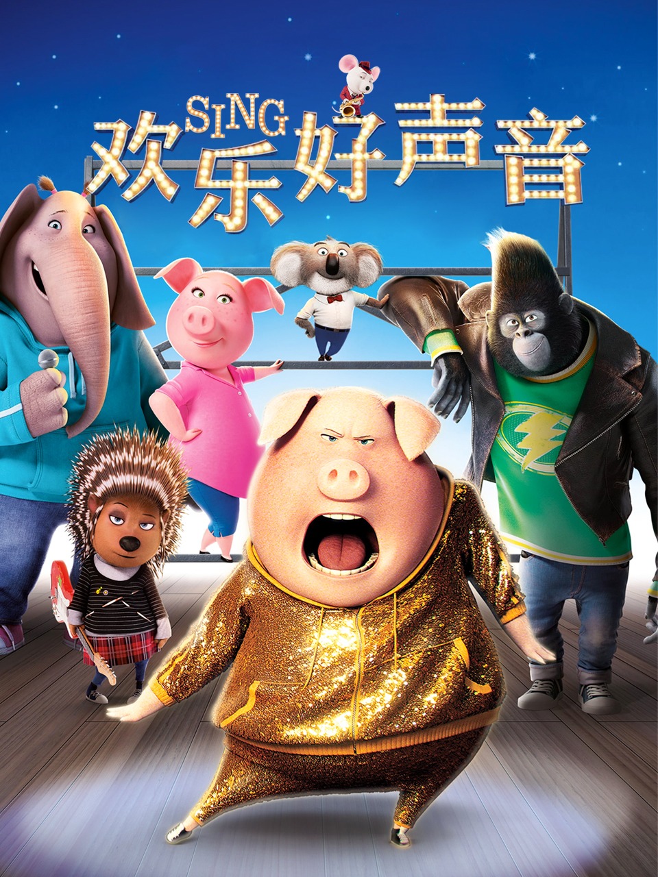 欢乐好声音封面图