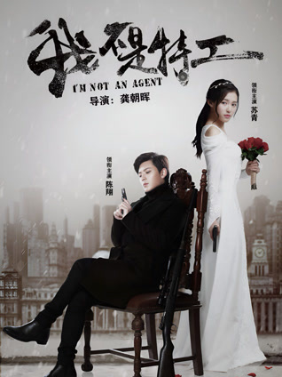 我不是特工封面图