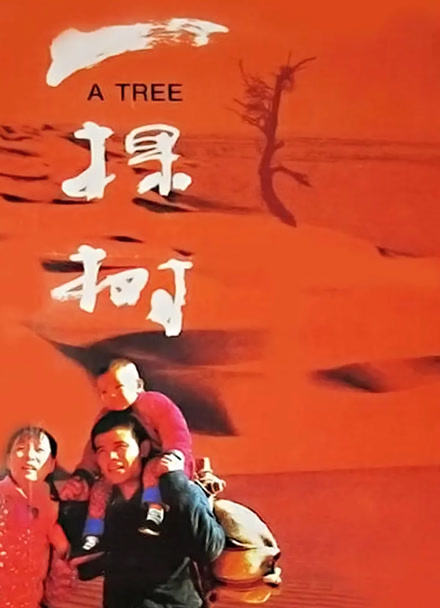 一棵树封面图