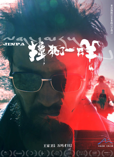 撞死了一只羊封面图