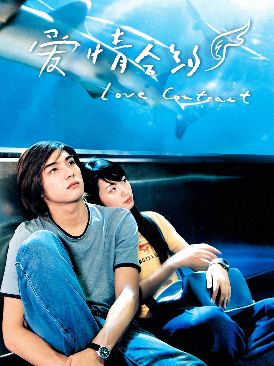 爱情合约封面图