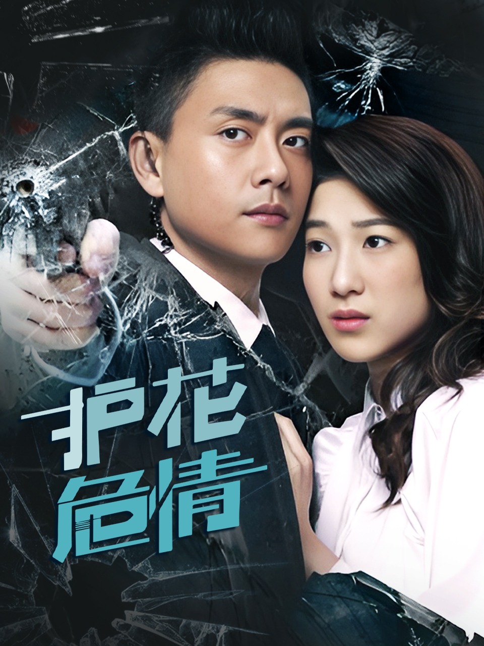 护花危情封面图