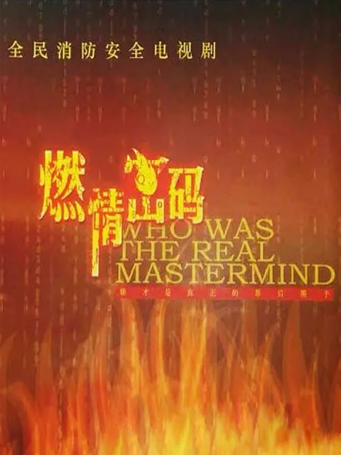 燃情密码封面图