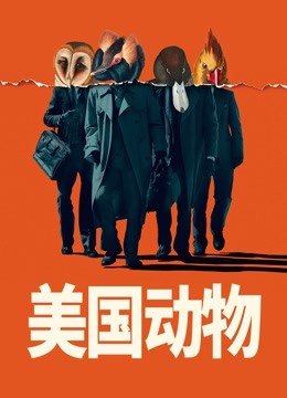 美国动物封面图