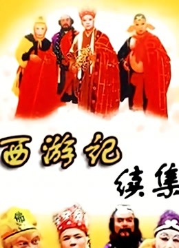 西游记续集封面图