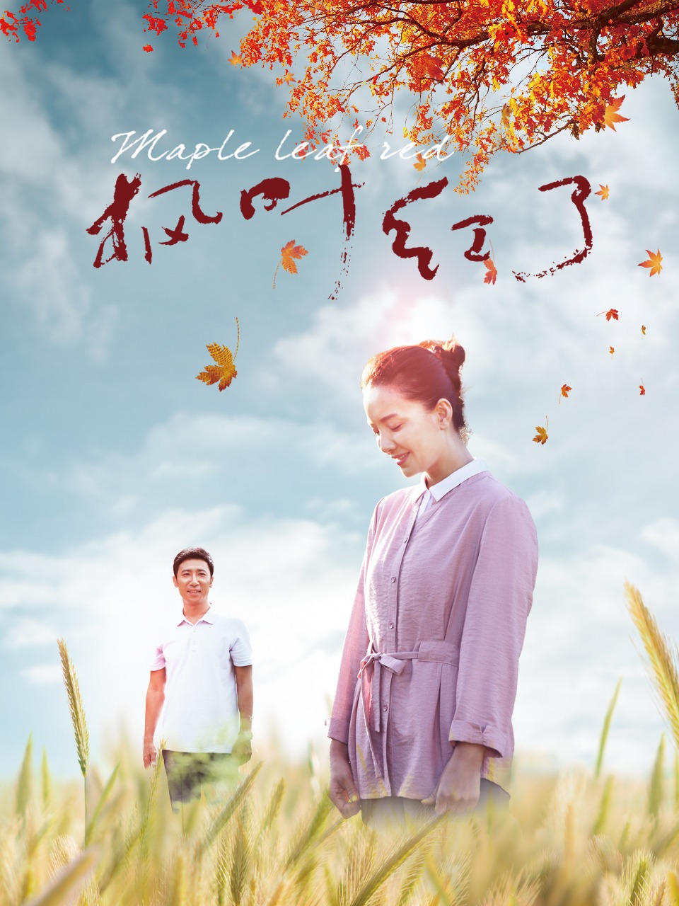 枫叶红了封面图