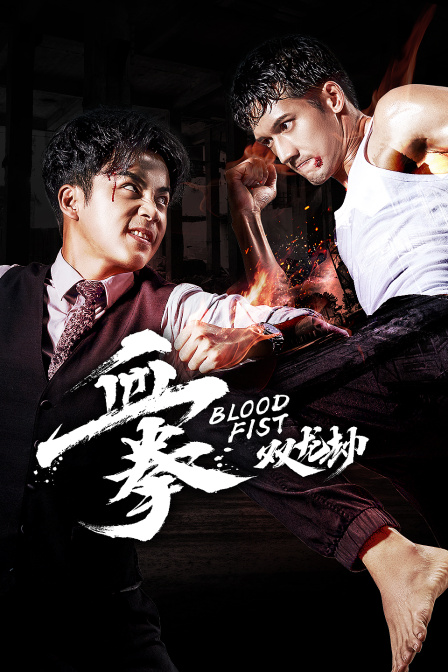 血拳之双龙劫封面图