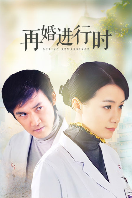 再婚进行时封面图