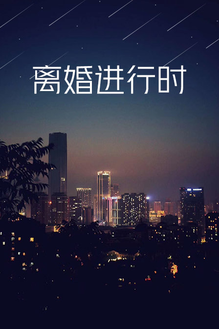 离婚进行时封面图