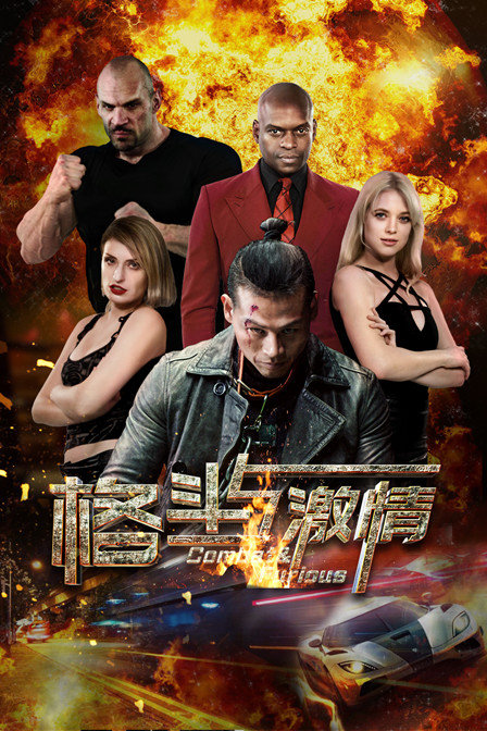 格斗与激情封面图