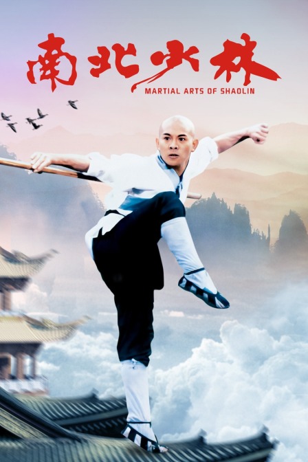 南北少林封面图