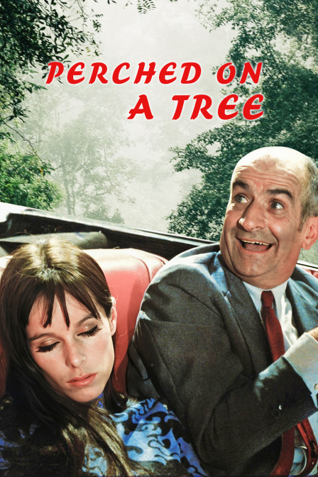 落在树梢封面图