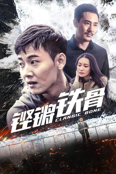 铿锵铁骨封面图