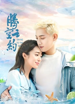 腾空之约封面图