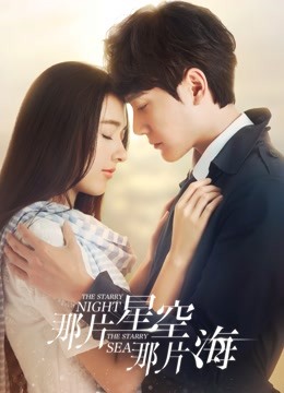 那片星空那片海封面图
