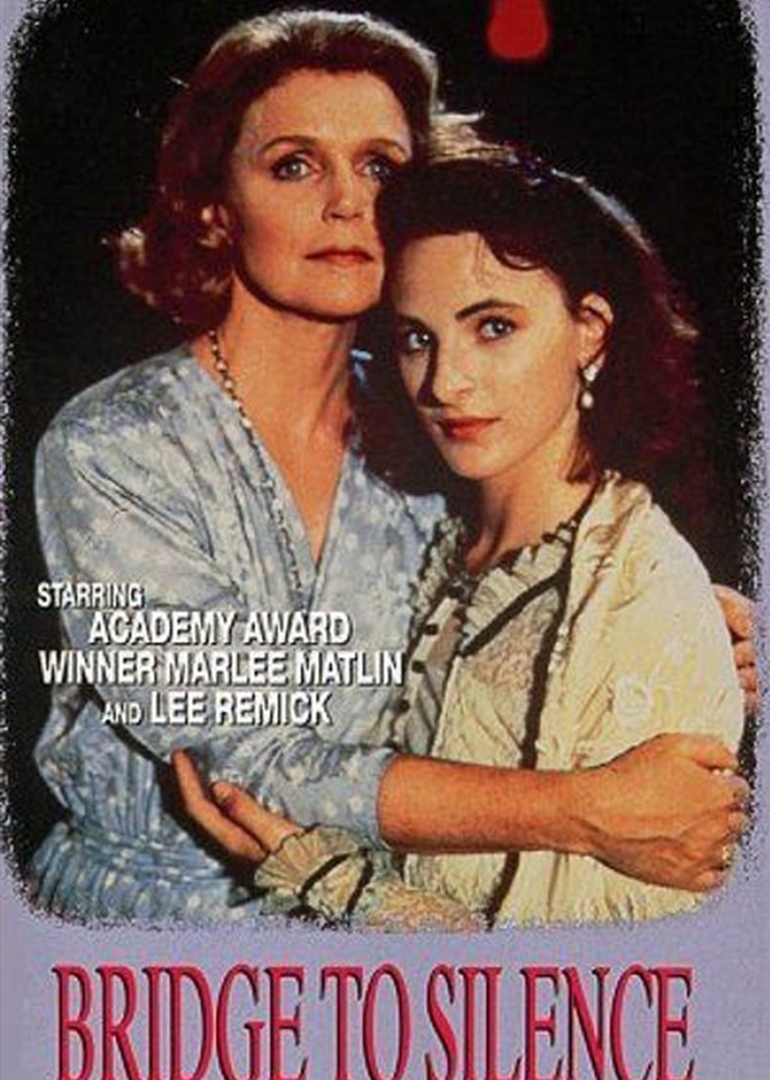 沉寂之桥封面图