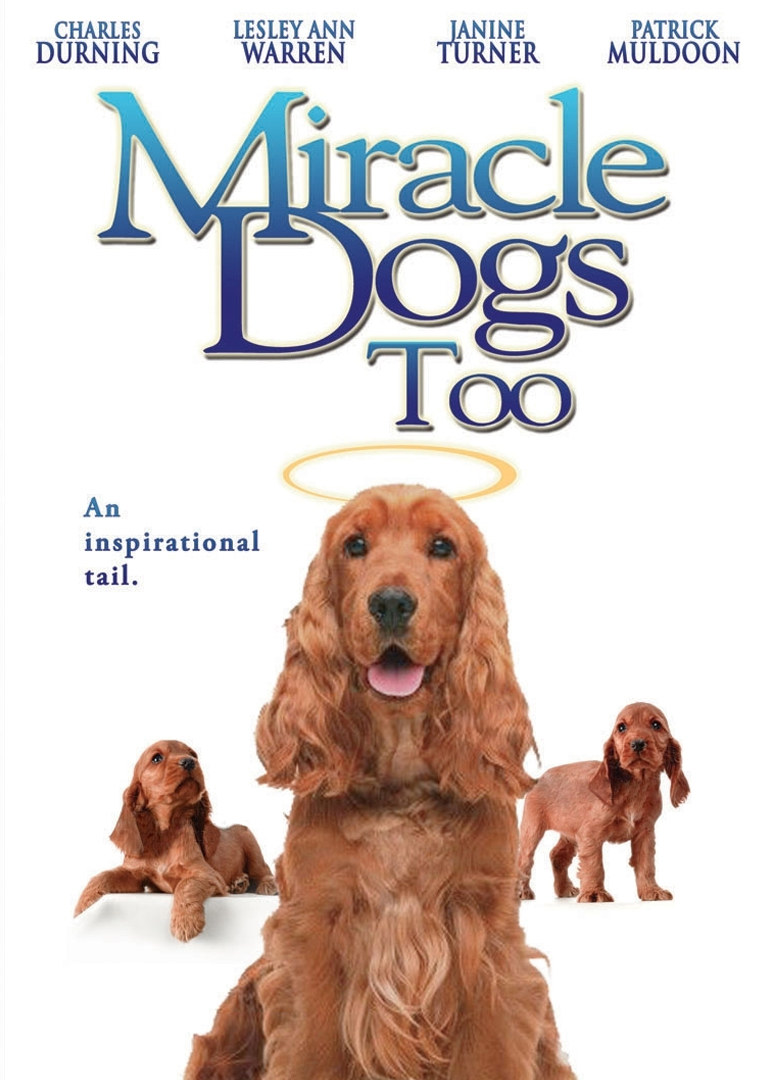 天降神犬2封面图