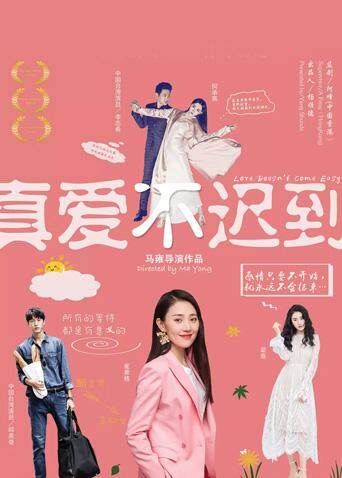 真爱不迟到封面图