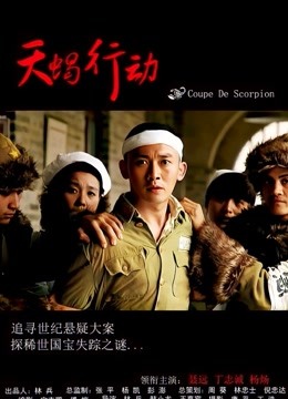 天蝎行动封面图