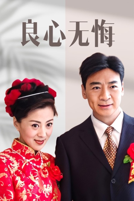 良心无悔封面图