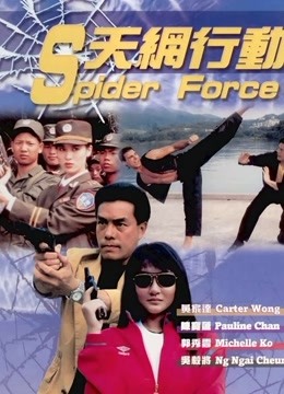 天网行动封面图