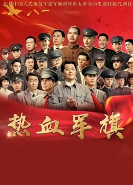 热血军旗封面图