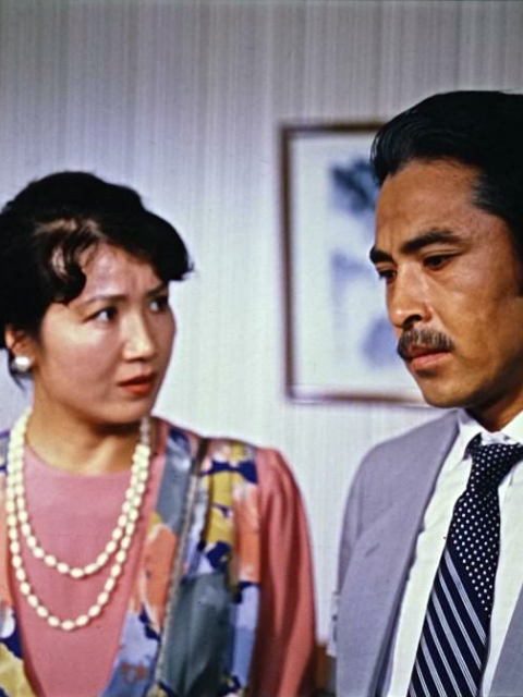 你的微笑封面图