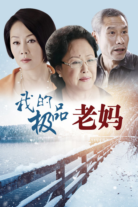 我的极品老妈封面图
