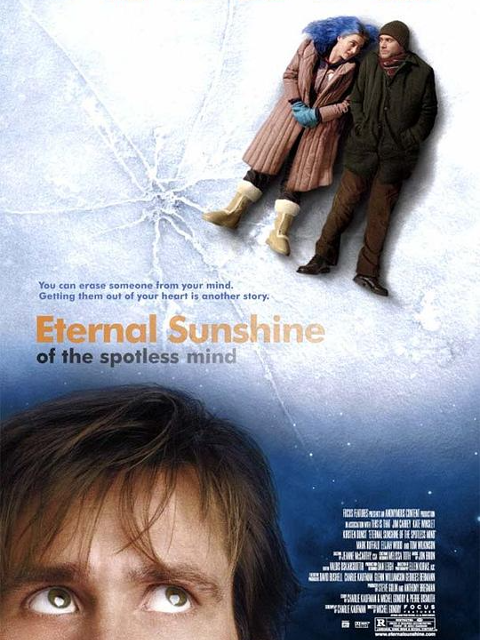 暖暖内含光封面图