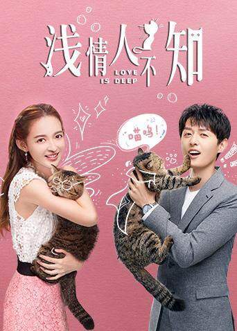 浅情人不知封面图