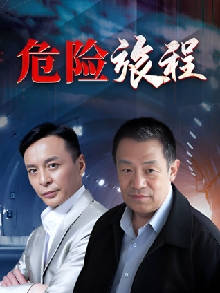 危险旅程封面图