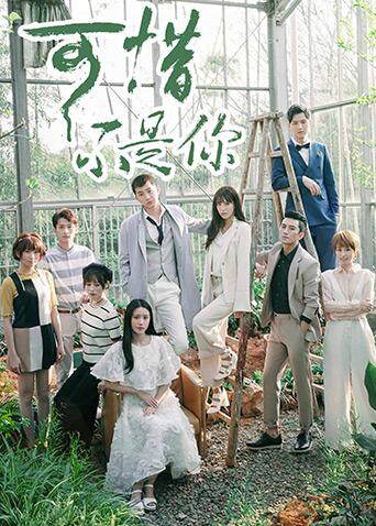 可惜不是你封面图